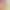 https://shared.akamai.steamstatic.com/store_item_assets/steam/apps/2868290/header.jpg?t=1709916075