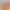 https://shared.akamai.steamstatic.com/store_item_assets/steam/apps/2868530/header.jpg?t=1725490423