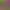 https://shared.akamai.steamstatic.com/store_item_assets/steam/apps/2868920/header.jpg?t=1723753773