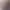 https://shared.akamai.steamstatic.com/store_item_assets/steam/apps/2870560/header.jpg?t=1737243949