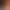 https://shared.akamai.steamstatic.com/store_item_assets/steam/apps/2873010/header.jpg?t=1729765402