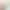 https://shared.akamai.steamstatic.com/store_item_assets/steam/apps/287980/header_russian.jpg?t=1724386220
