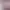 https://shared.akamai.steamstatic.com/store_item_assets/steam/apps/2880500/header.jpg?t=1746371001