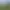 Perfect Golf.