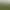 Perfect Golf.