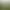 Perfect Golf.