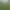 Perfect Golf.