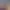 https://shared.akamai.steamstatic.com/store_item_assets/steam/apps/2883610/header.jpg?t=1739710420