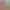 https://shared.akamai.steamstatic.com/store_item_assets/steam/apps/288610/header.jpg?t=1733137458