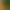Sex Universe [18+].