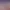 https://shared.akamai.steamstatic.com/store_item_assets/steam/apps/2888370/header.jpg?t=1743599150