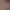 https://shared.akamai.steamstatic.com/store_item_assets/steam/apps/2889280/header.jpg?t=1733050158