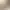 https://shared.akamai.steamstatic.com/store_item_assets/steam/apps/2891040/header.jpg?t=1749107802