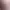 https://shared.akamai.steamstatic.com/store_item_assets/steam/apps/2894820/header.jpg?t=1739535910