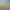 https://shared.akamai.steamstatic.com/store_item_assets/steam/apps/2895430/header.jpg?t=1743511741