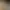 https://shared.akamai.steamstatic.com/store_item_assets/steam/apps/2898130/header.jpg?t=1717084009