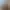 https://shared.akamai.steamstatic.com/store_item_assets/steam/apps/289950/header.jpg?t=1741870189