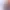 https://shared.akamai.steamstatic.com/store_item_assets/steam/apps/2901520/79a294432feb46fb63a526011c86208f64e92aea/header_russian.jpg?t=1745432089