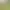 https://shared.akamai.steamstatic.com/store_item_assets/steam/apps/2903530/header.jpg?t=1750783681