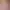 https://shared.akamai.steamstatic.com/store_item_assets/steam/apps/2905360/header.jpg?t=1713805326