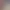 Kebab Simulator VR.