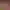 https://shared.akamai.steamstatic.com/store_item_assets/steam/apps/2908950/header.jpg?t=1747413099