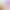 https://shared.akamai.steamstatic.com/store_item_assets/steam/apps/2913260/header.jpg?t=1715012059