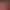 https://shared.akamai.steamstatic.com/store_item_assets/steam/apps/2917140/header.jpg?t=1736845867