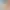 https://shared.akamai.steamstatic.com/store_item_assets/steam/apps/2921520/header.jpg?t=1724373543