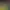 https://shared.akamai.steamstatic.com/store_item_assets/steam/apps/2924650/header.jpg?t=1737059918