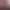 https://shared.akamai.steamstatic.com/store_item_assets/steam/apps/2924870/header.jpg?t=1747570632