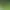 https://shared.akamai.steamstatic.com/store_item_assets/steam/apps/2928520/ba276f78c618e038ba540459de4b47f3a22c48d9/header.jpg?t=1749557762