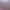 https://shared.akamai.steamstatic.com/store_item_assets/steam/apps/2932560/header.jpg?t=1744693798