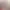 https://shared.akamai.steamstatic.com/store_item_assets/steam/apps/2941200/header.jpg?t=1723650534