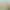 https://shared.akamai.steamstatic.com/store_item_assets/steam/apps/2942690/header.jpg?t=1715195761