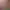 https://shared.akamai.steamstatic.com/store_item_assets/steam/apps/2943550/header.jpg?t=1726256025