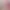 https://shared.akamai.steamstatic.com/store_item_assets/steam/apps/2944340/header.jpg?t=1749683878