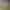 https://shared.akamai.steamstatic.com/store_item_assets/steam/apps/2946030/header.jpg?t=1739289626