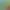 https://shared.akamai.steamstatic.com/store_item_assets/steam/apps/2954730/header.jpg?t=1730763410
