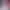 https://shared.akamai.steamstatic.com/store_item_assets/steam/apps/2954920/header.jpg?t=1736215101