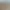 https://shared.akamai.steamstatic.com/store_item_assets/steam/apps/2957270/header.jpg?t=1745943492