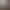 https://shared.akamai.steamstatic.com/store_item_assets/steam/apps/2957440/header.jpg?t=1744899433