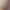 https://shared.akamai.steamstatic.com/store_item_assets/steam/apps/2957980/header.jpg?t=1717634562