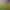 https://shared.akamai.steamstatic.com/store_item_assets/steam/apps/2960770/header.jpg?t=1743246253