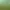 InTheDisorderlyCourtyard.