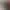 https://shared.akamai.steamstatic.com/store_item_assets/steam/apps/2975900/20b4c025e401fe096ff091b120fb0cf6dcc2b2f5/header.jpg?t=1750271326