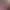 https://shared.akamai.steamstatic.com/store_item_assets/steam/apps/2981590/header.jpg?t=1728923429