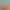 https://shared.akamai.steamstatic.com/store_item_assets/steam/apps/2982590/header.jpg?t=1737660984