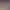 https://shared.akamai.steamstatic.com/store_item_assets/steam/apps/2983140/header.jpg?t=1743381263