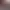 https://shared.akamai.steamstatic.com/store_item_assets/steam/apps/2985950/header.jpg?t=1748033045